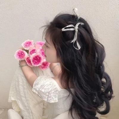 甄嬛传